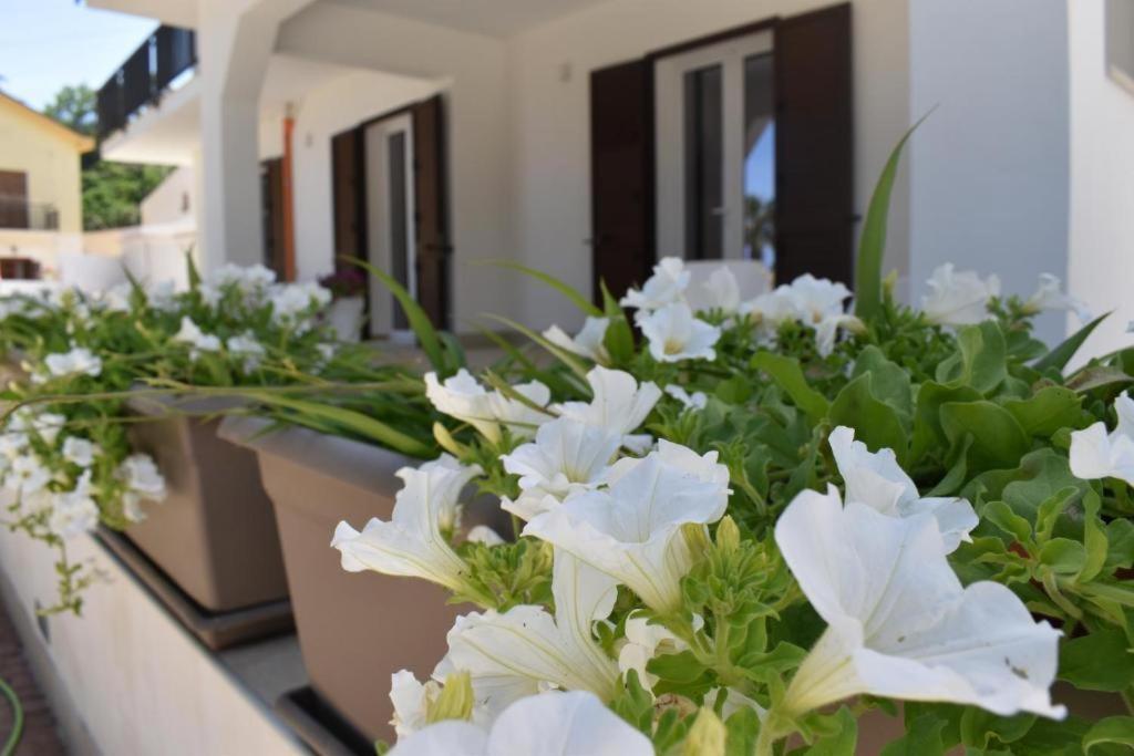 B&B Lastracu กัสเตลลัมมาเร เดล โกลโฟ ภายนอก รูปภาพ